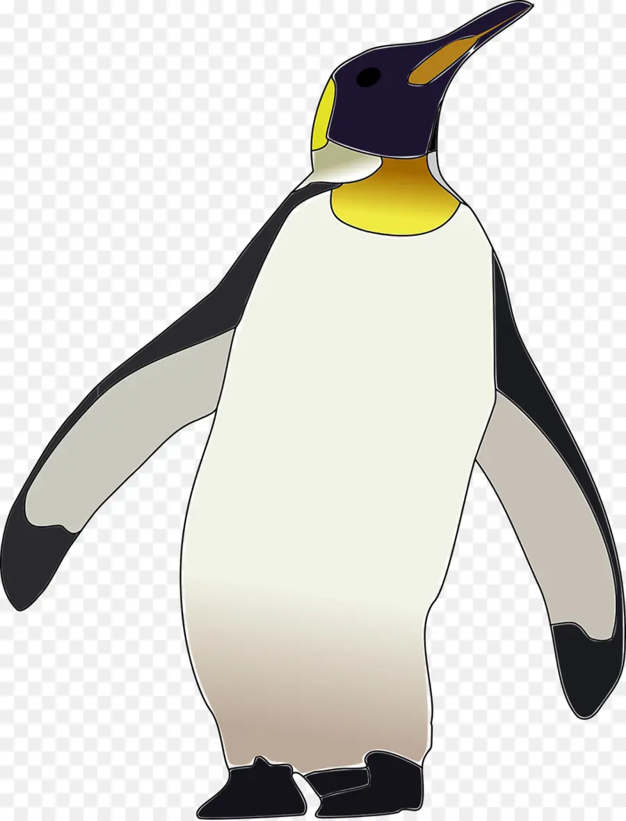 Antártica，Penguin PNG