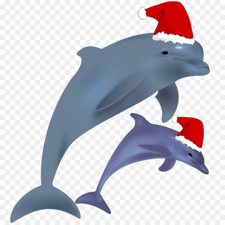 Dolphin，Golfinho PNG