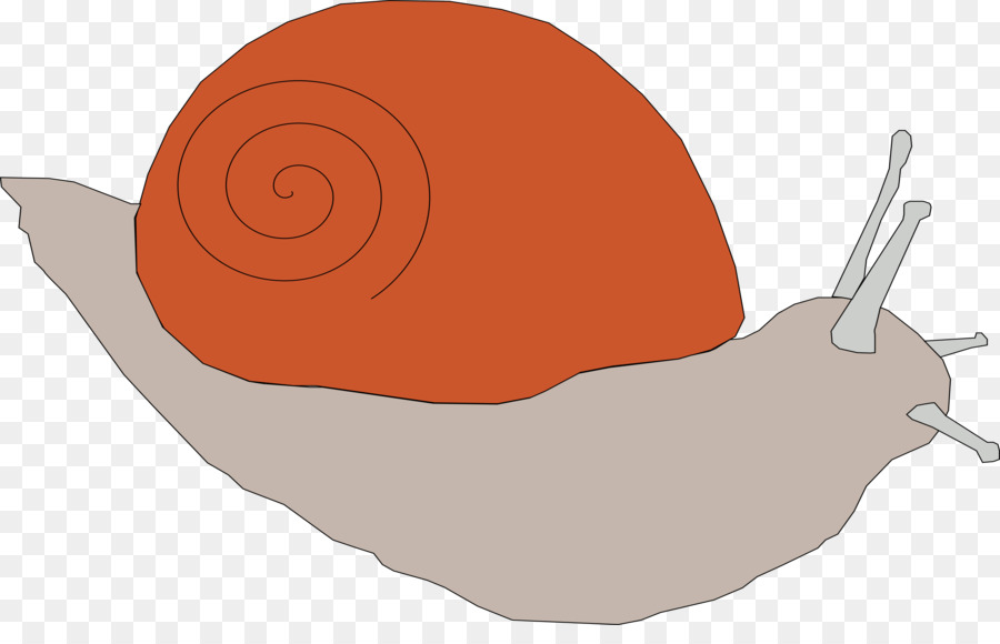 Caracol Verde，Concha PNG