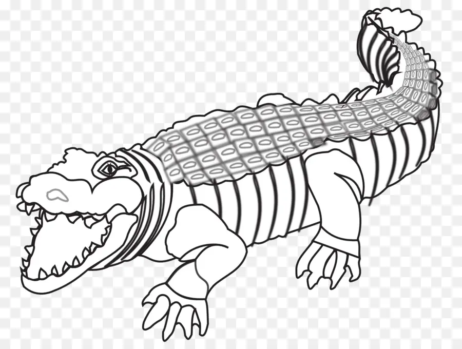 Crocodilos，Crocodilo PNG
