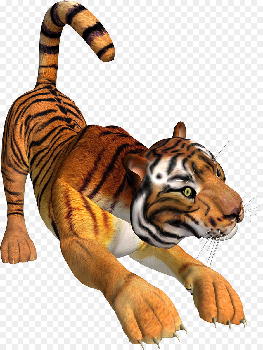 Tigre，Animais Selvagens PNG