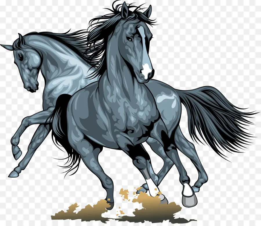 Cavalo，O Cavalo Selvagem PNG