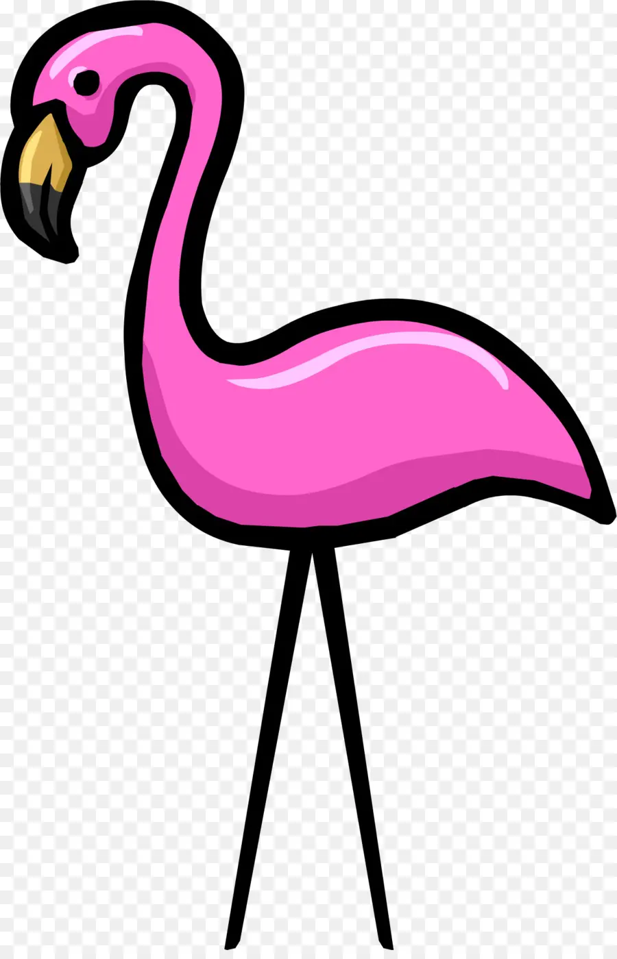 Flamingo Rosa，Animal PNG