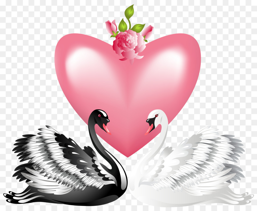 Cisne Negro，Royaltyfree PNG