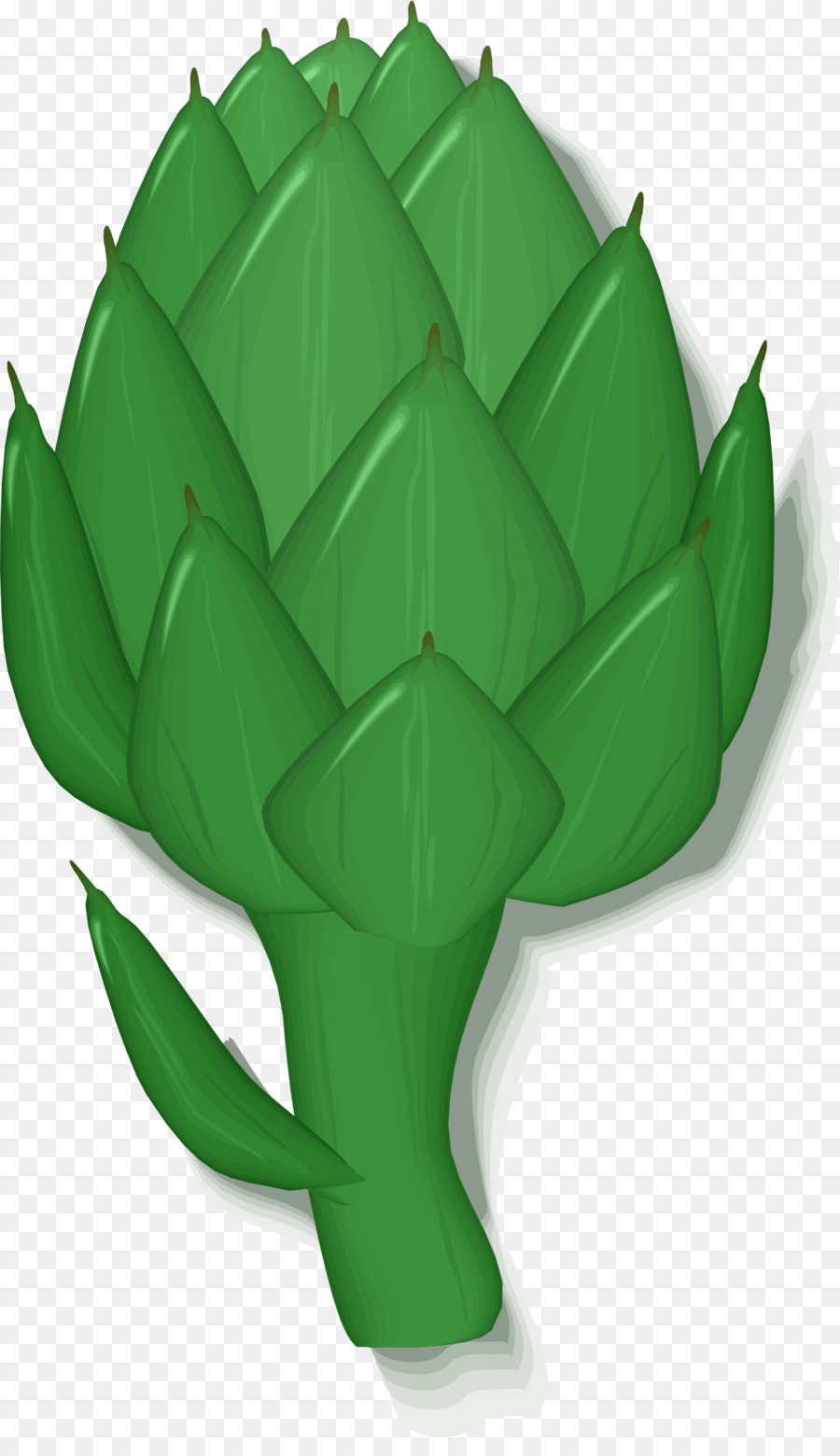 Alcachofra，Verde PNG