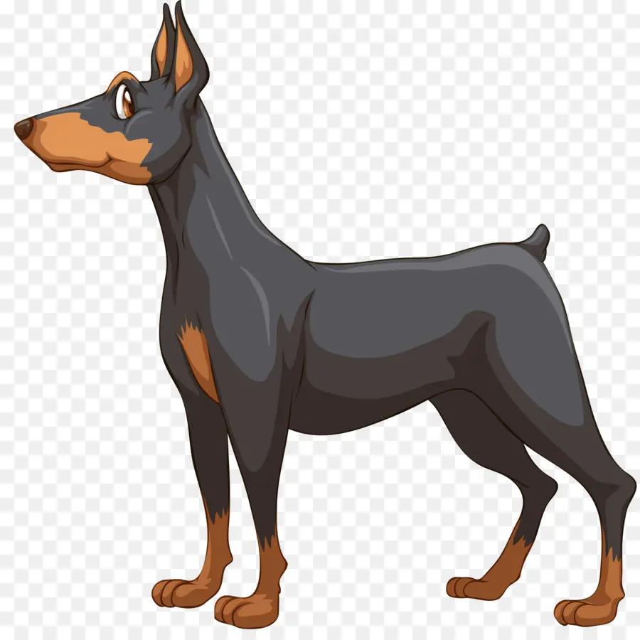 Dobermann，Filhote De Cachorro PNG