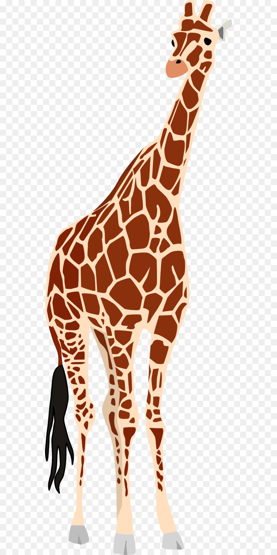 Girafa，Okapi PNG