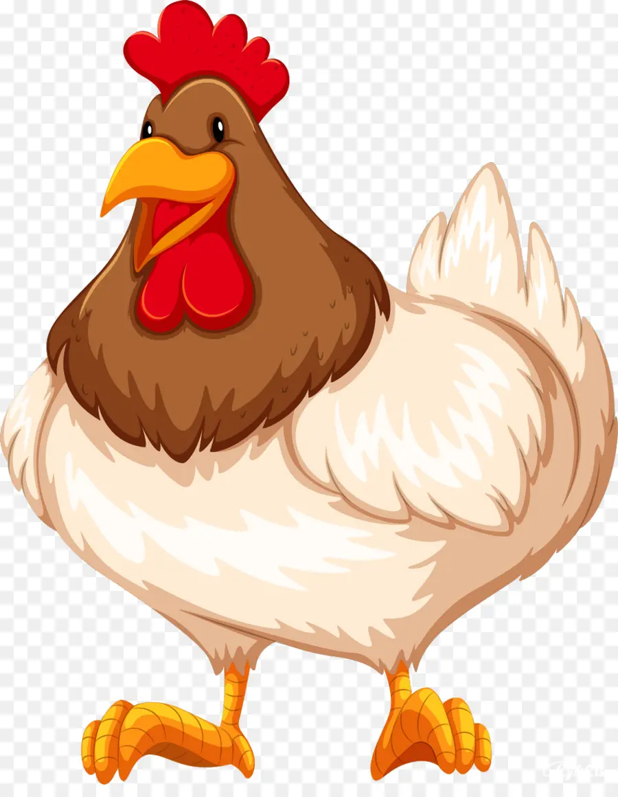 Frango，Pássaro PNG