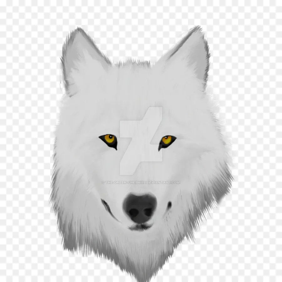 Lobo Branco，Face PNG