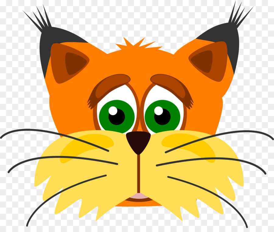 Gato Laranja，Gatinho PNG