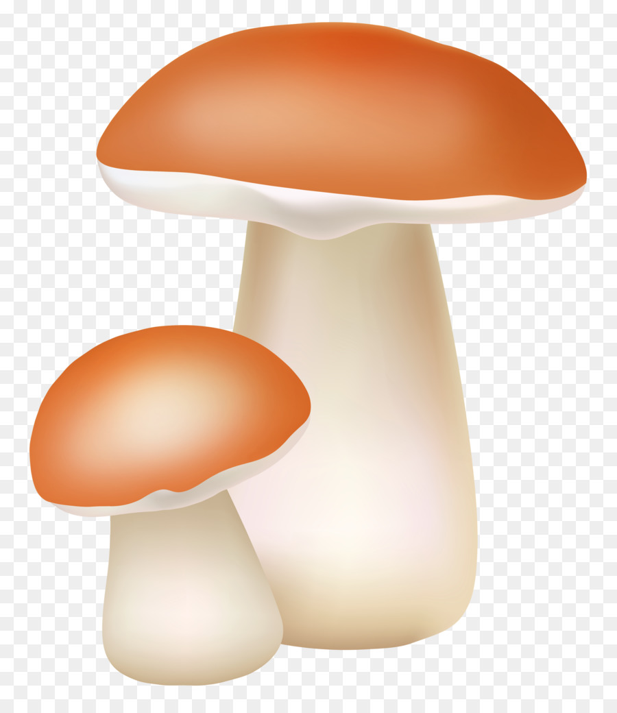 Cogumelos，Fungos PNG