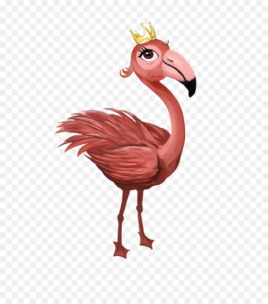 Flamingo Com Coroa，Pássaro PNG