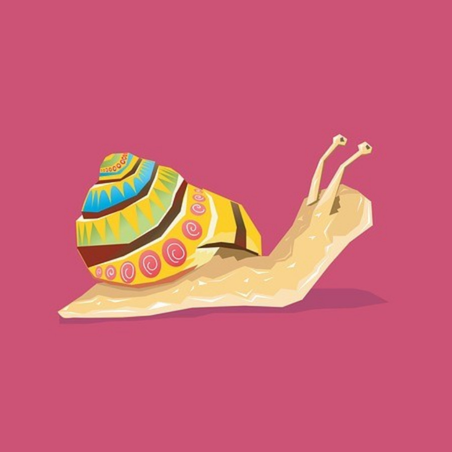 Caracol，Gastrópodes PNG