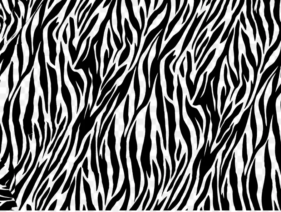 Padrão Zebra，Listrado PNG