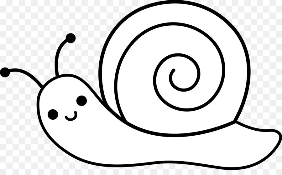 Caracol，Moluscos PNG