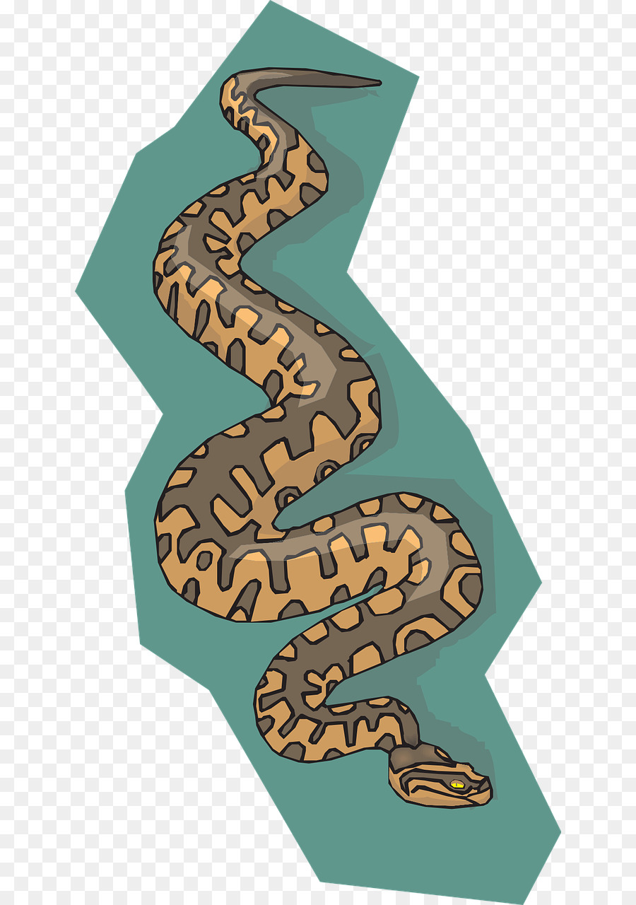 Cobra，Répteis PNG