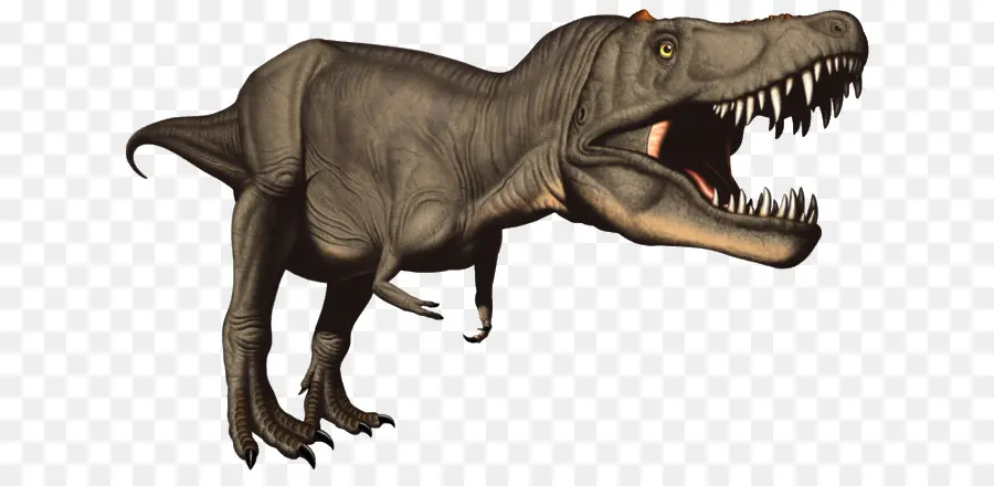 Dinossauro，Pré Histórico PNG