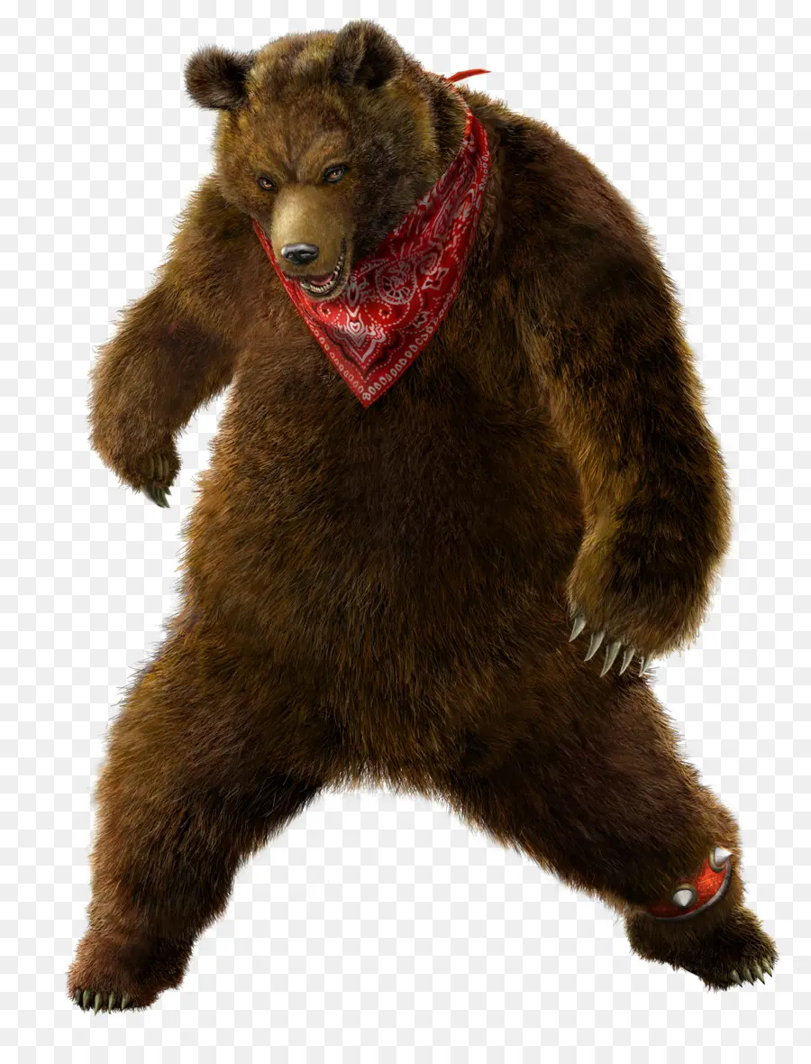 Urso，Bandana PNG