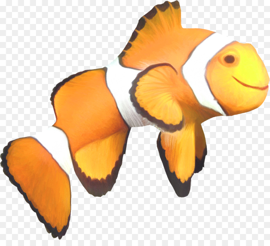 Peixe，Pintura PNG