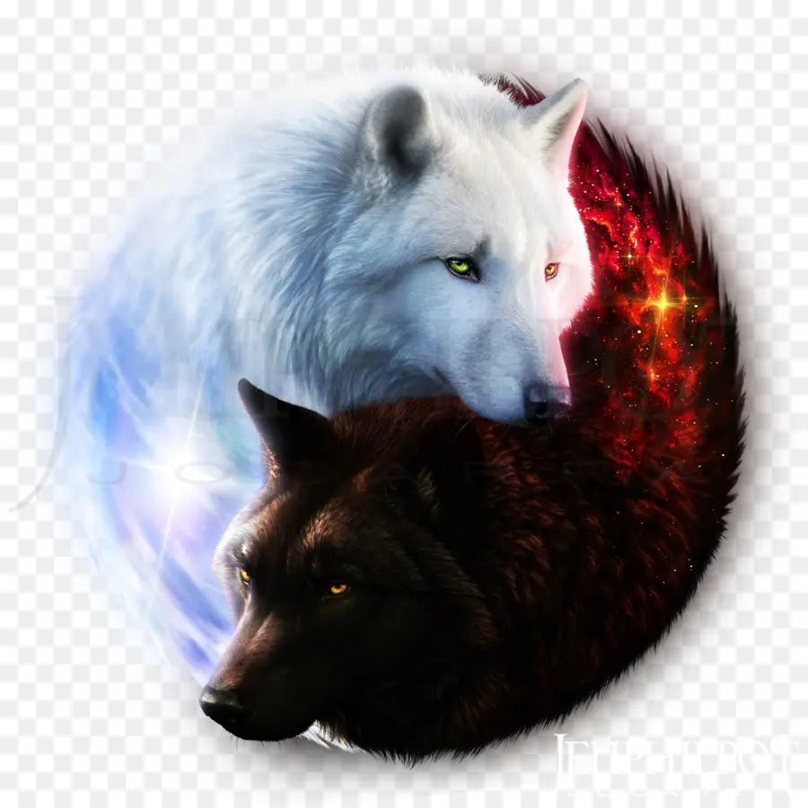 Lobos Brancos E Pretos，Yin Yang PNG