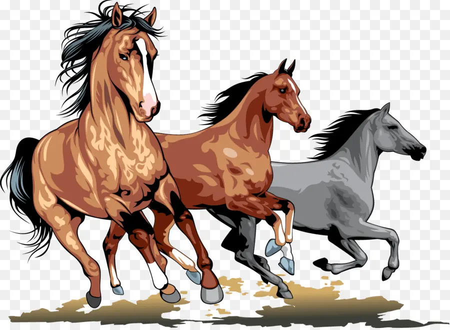 Cavalos Correndo，Animais PNG