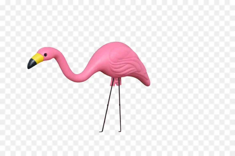Flamingo De Plástico，Flamingo PNG