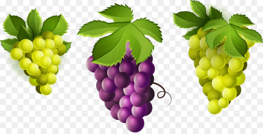 Uvas，Videira PNG