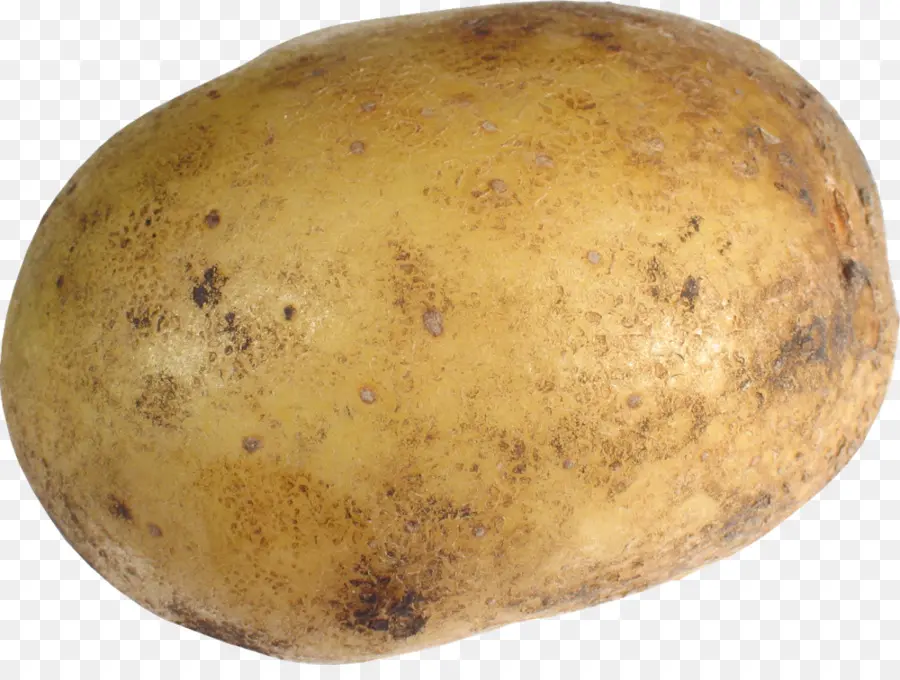 Batata，Vegetal PNG