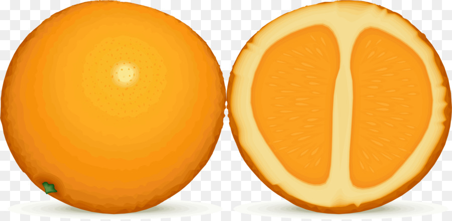 Fruta Laranja，Cítrico PNG