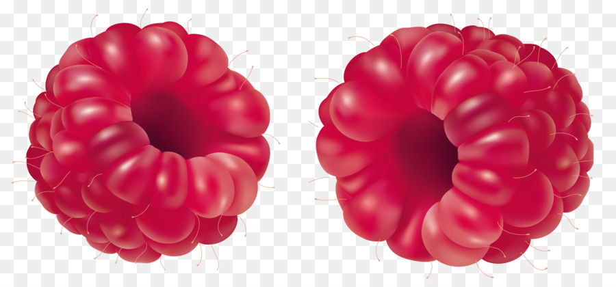 Framboesas，Vermelho PNG