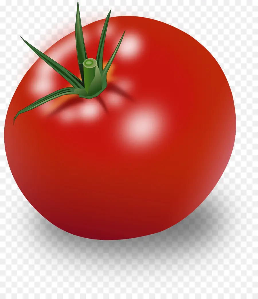 Tomate Vermelho，Tronco PNG