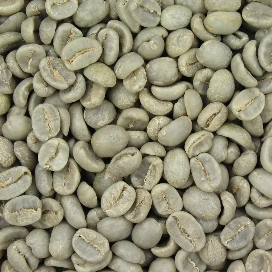 Café，Café Arábica PNG