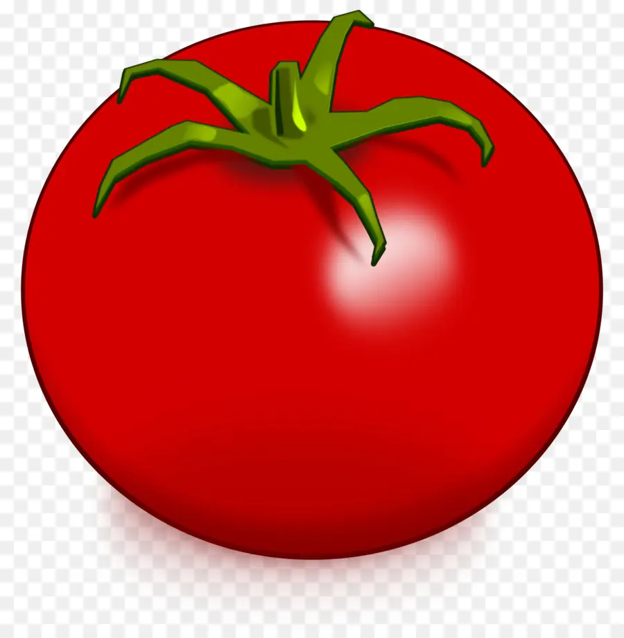 Tomate，Desenho PNG