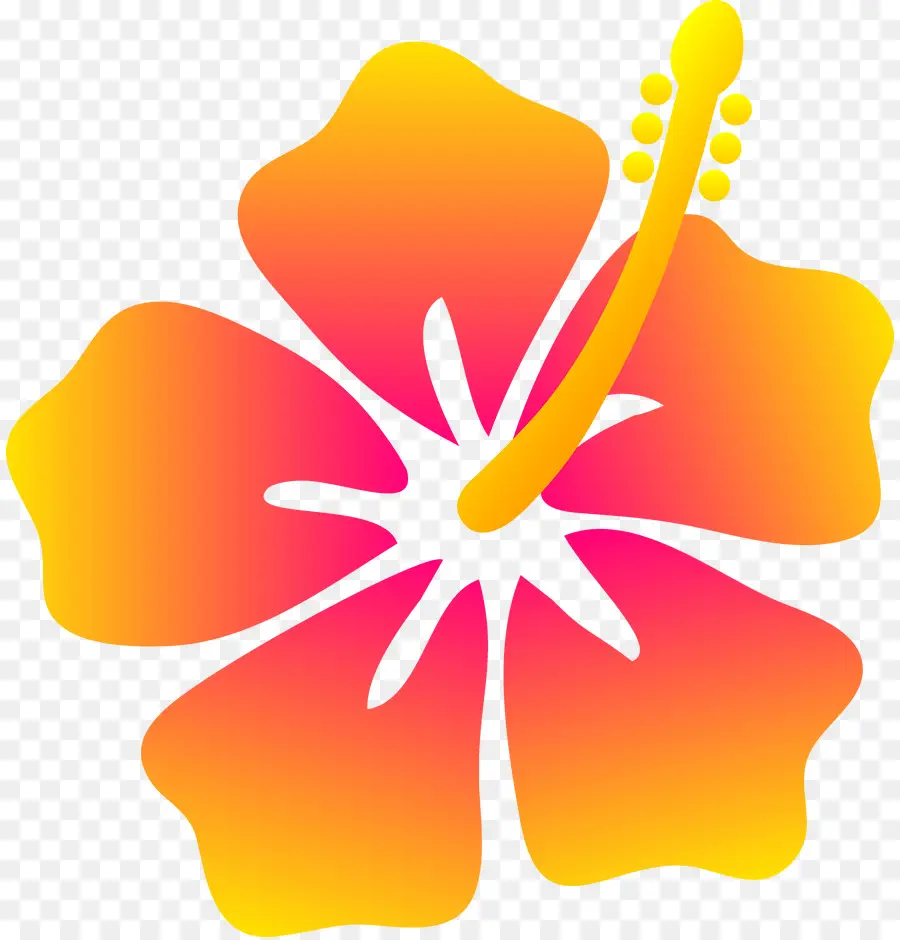Havaí，Hibiscus PNG