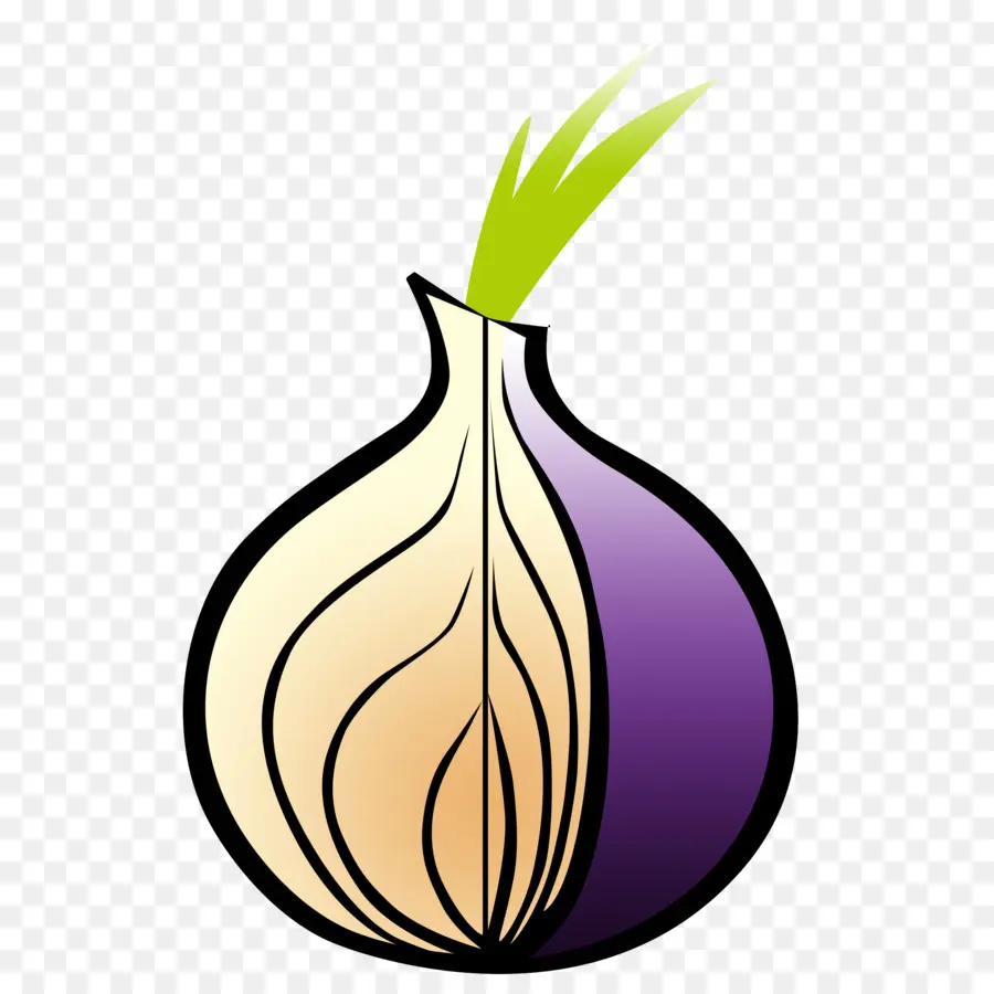 Tor，Navegador Da Web PNG