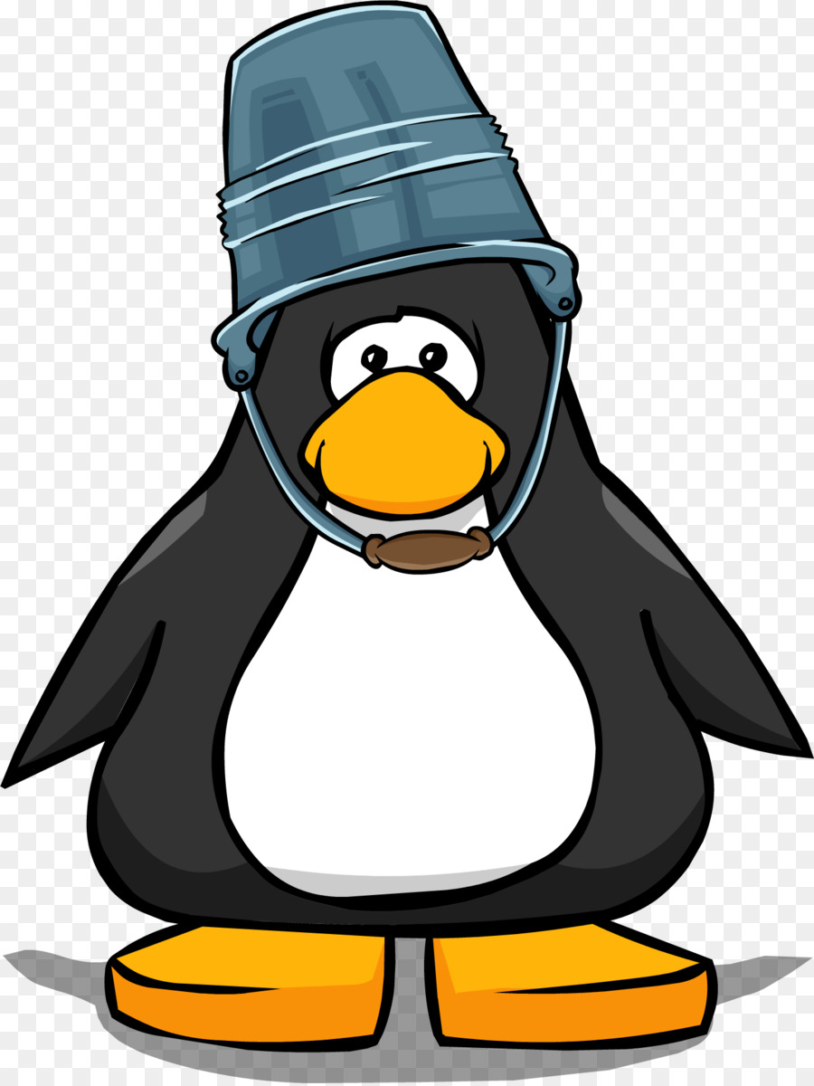 Pinguim，Pássaro PNG