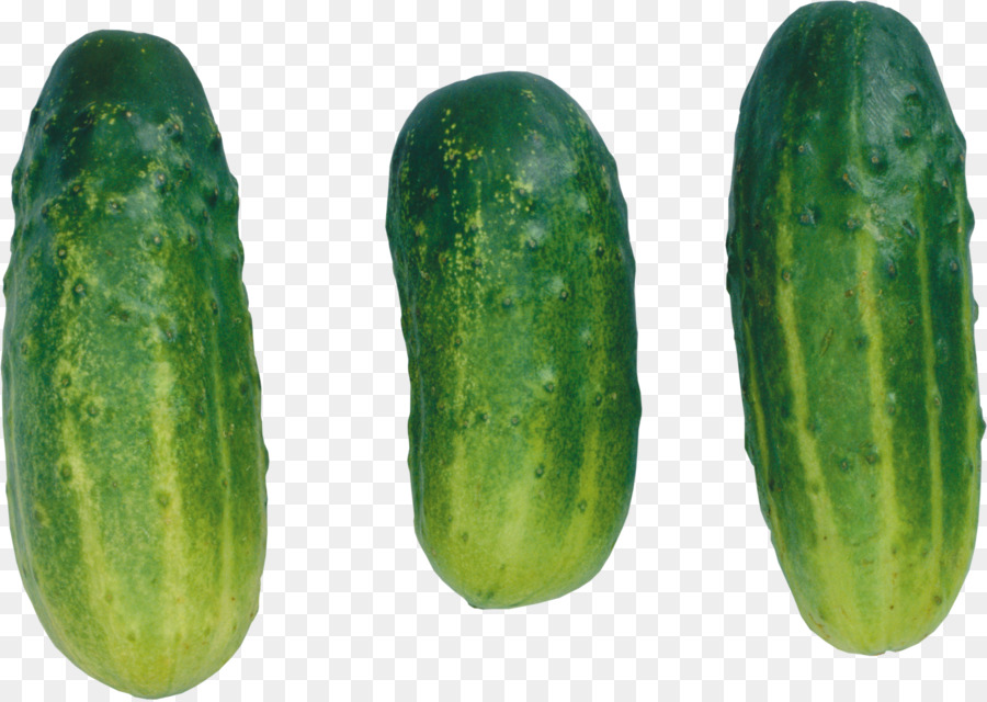 Pepino，Pepino Em Conserva PNG