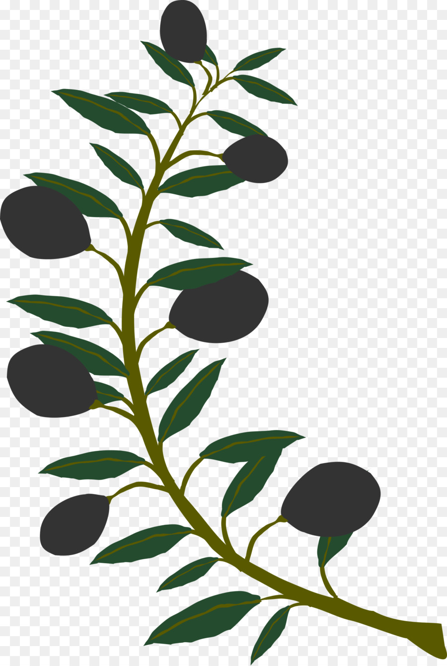 Plantar，Folhas PNG