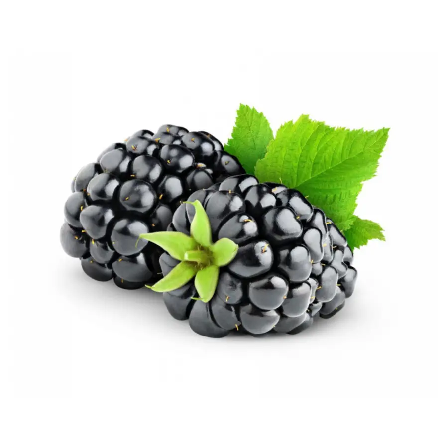 Suco De，Blackberry PNG