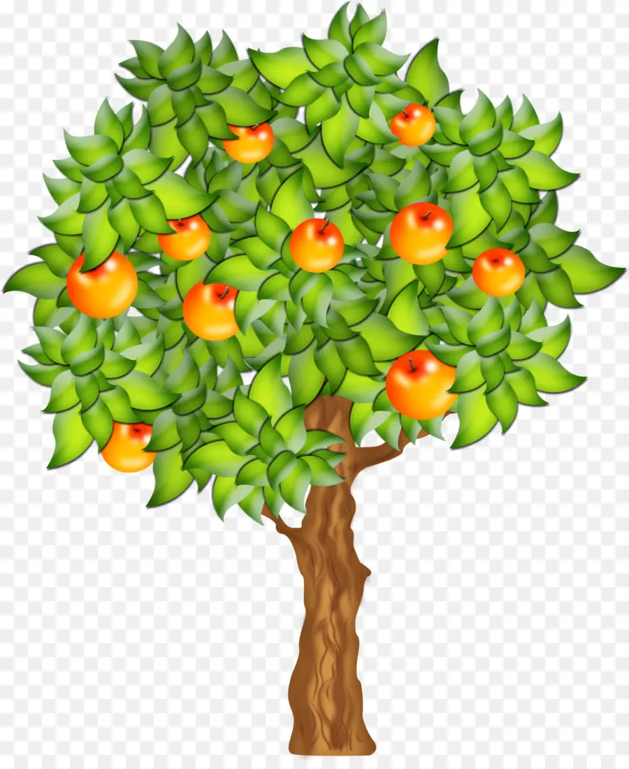 Frutas，árvore PNG