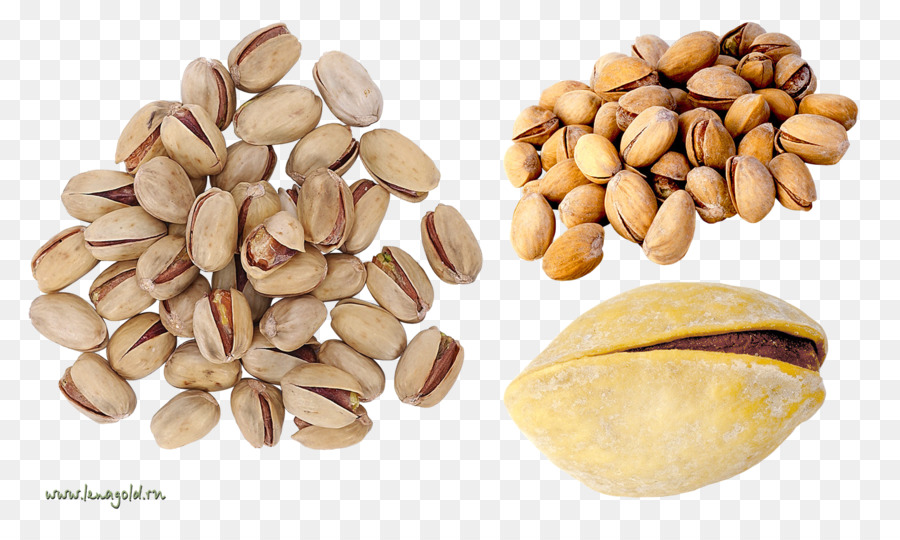 Pistache，Conchas PNG