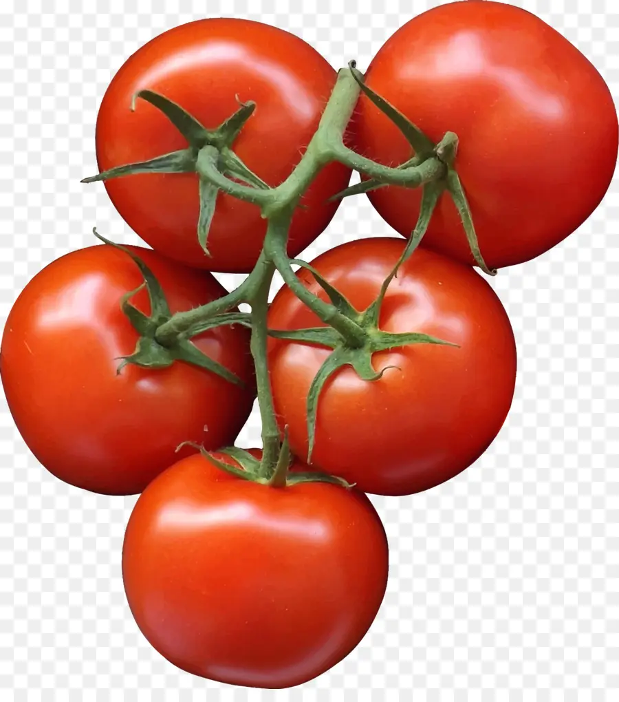 Tomates，Vegetal PNG