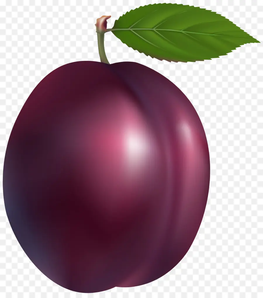 Comum De Ameixa，Frutas PNG