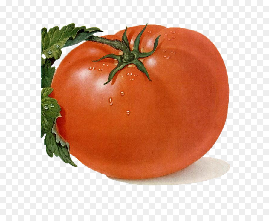 Tomate Cereja，Crisp PNG