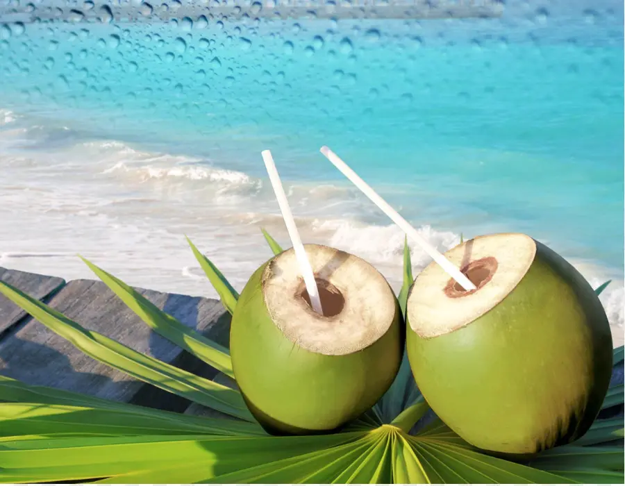 Bebidas Com Gás，água De Coco PNG