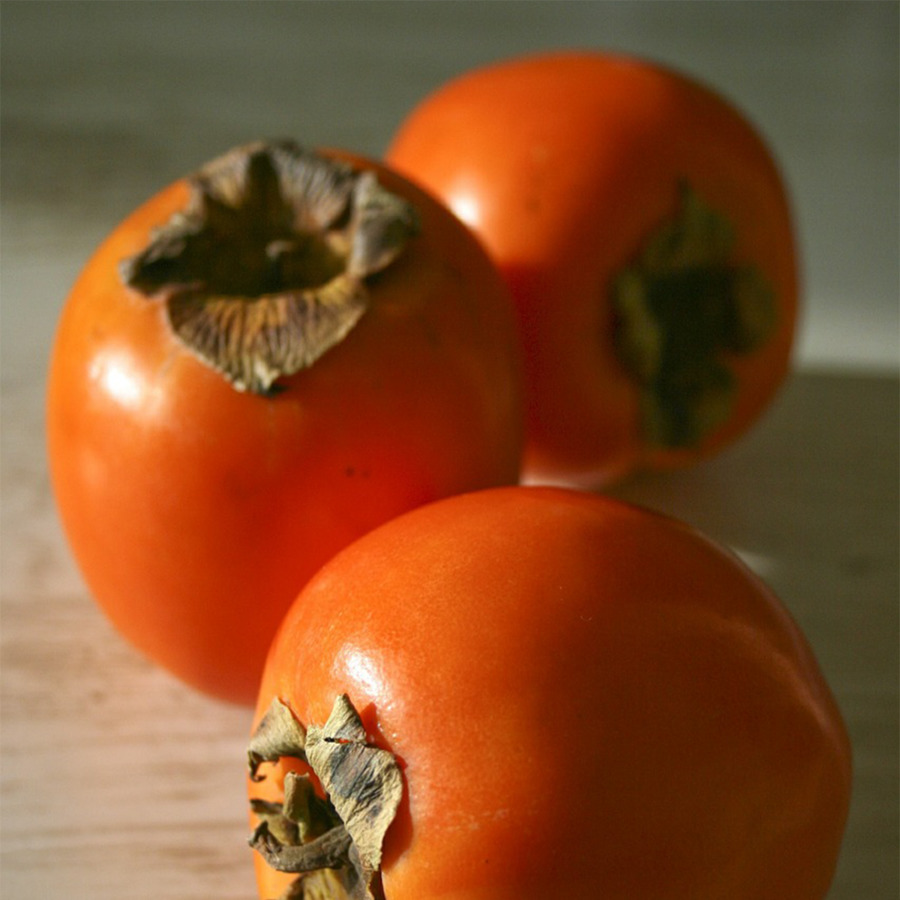 Persimmon Japonês，Leite PNG