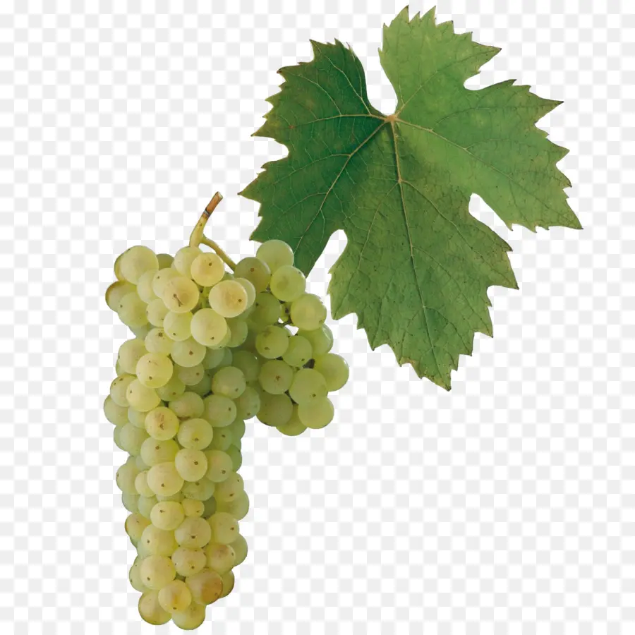 Uvas Verdes，Verde PNG