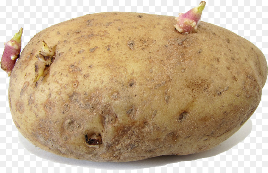 Batata，Brotos PNG