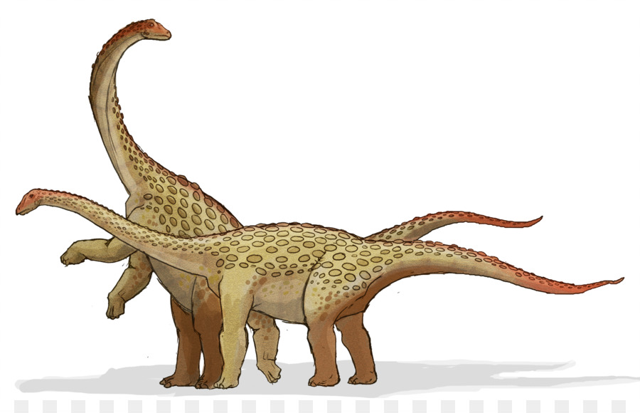 Dinossauro Rei，Saltasaurus PNG