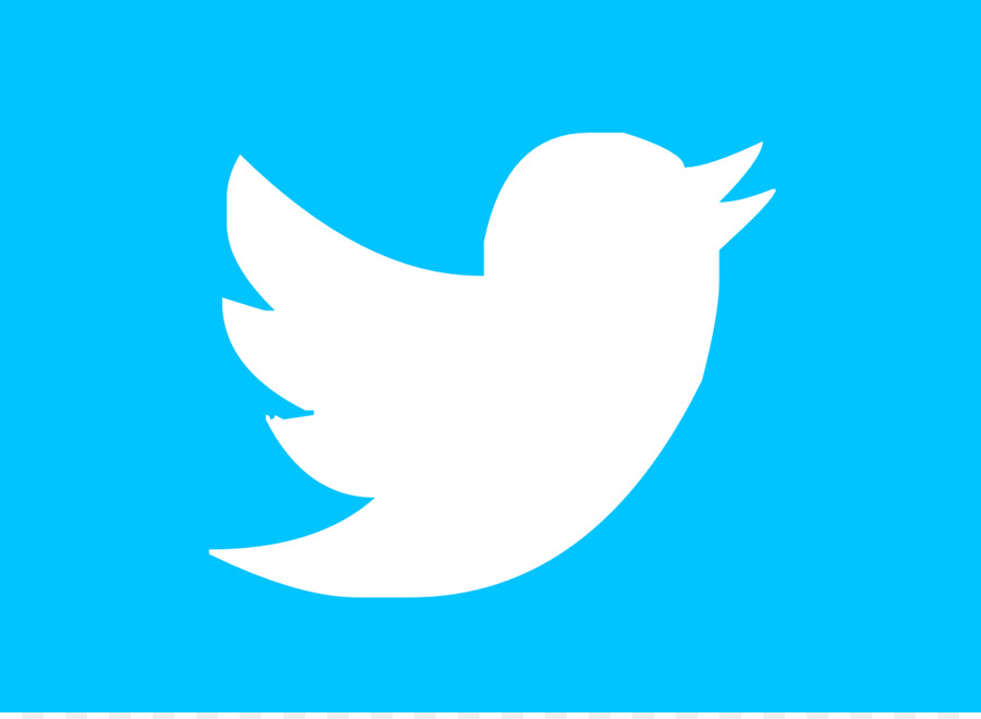 Logotipo Do Twitter，Mídias Sociais PNG